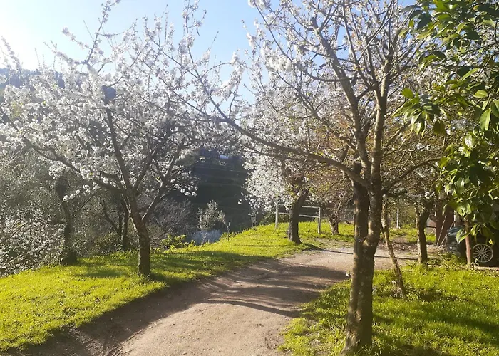 Quinta Dos Carvalhos The Wine House Farm In Center Of Lamego - Capital Of The Douro