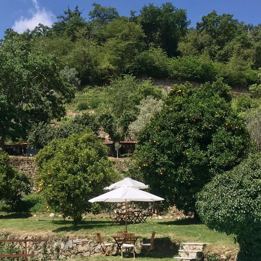 Séjour à la ferme Quinta Dos Carvalhos The Wine House Farm In Center Of - Capital Of The Douro Lamego