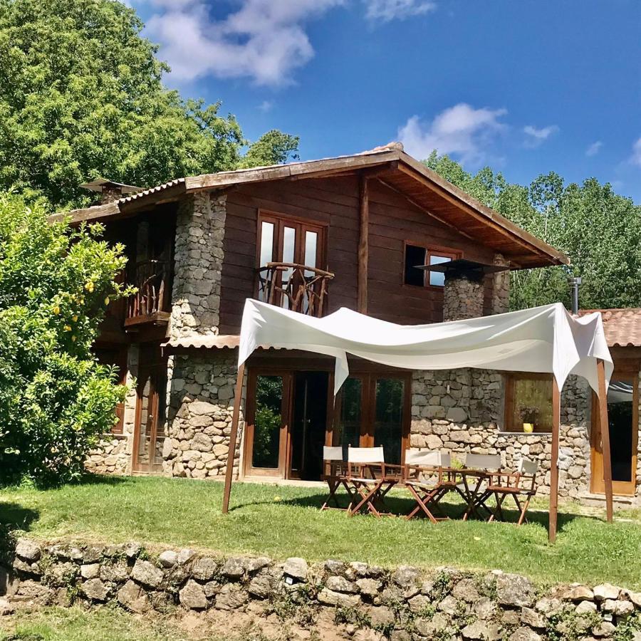 Quinta Dos Carvalhos The Wine House Farm In Center Of - Capital Of The Douro Alloggio per agriturismo *