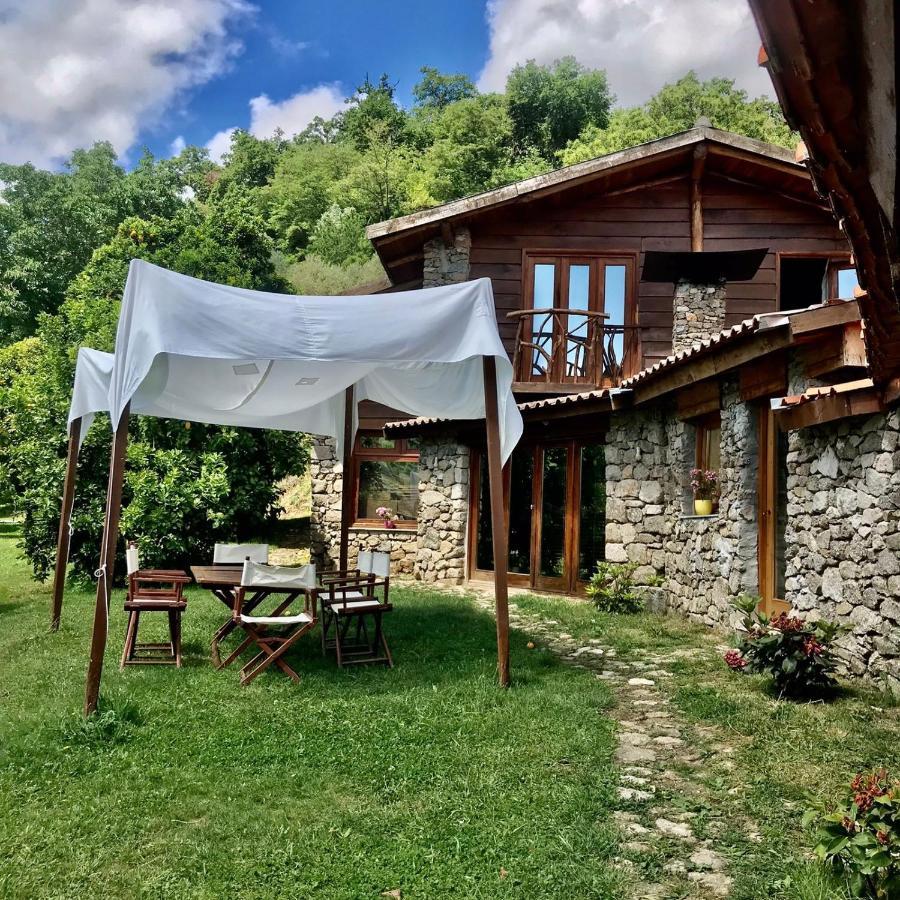 Alloggio per agriturismo Quinta Dos Carvalhos The Wine House Farm In Center Of - Capital Of The Douro *