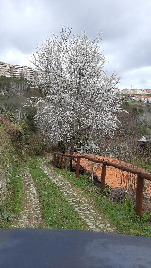 Quinta Dos Carvalhos The Wine House Farm In Center Of - Capital Of The Douro Alloggio per agriturismo *
