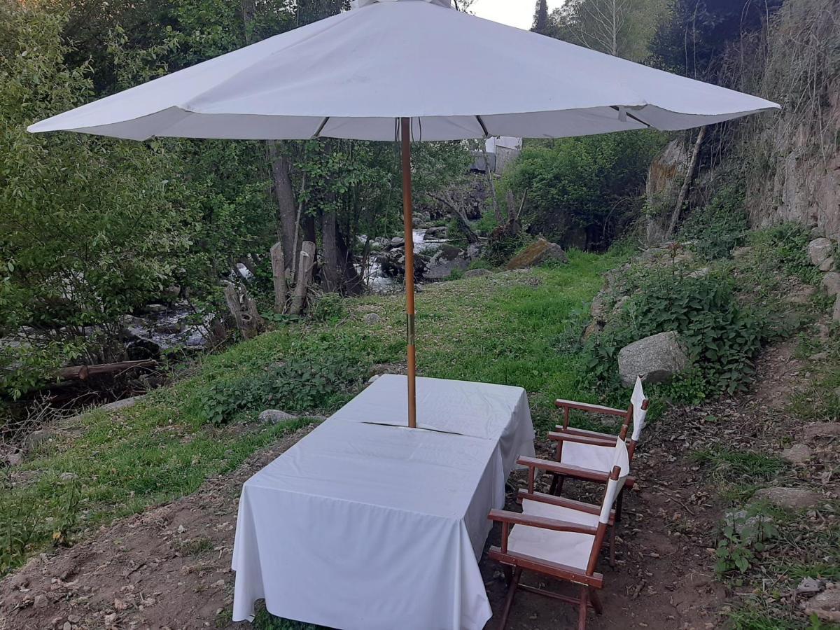 Alloggio per agriturismo Quinta Dos Carvalhos The Wine House Farm In Center Of - Capital Of The Douro