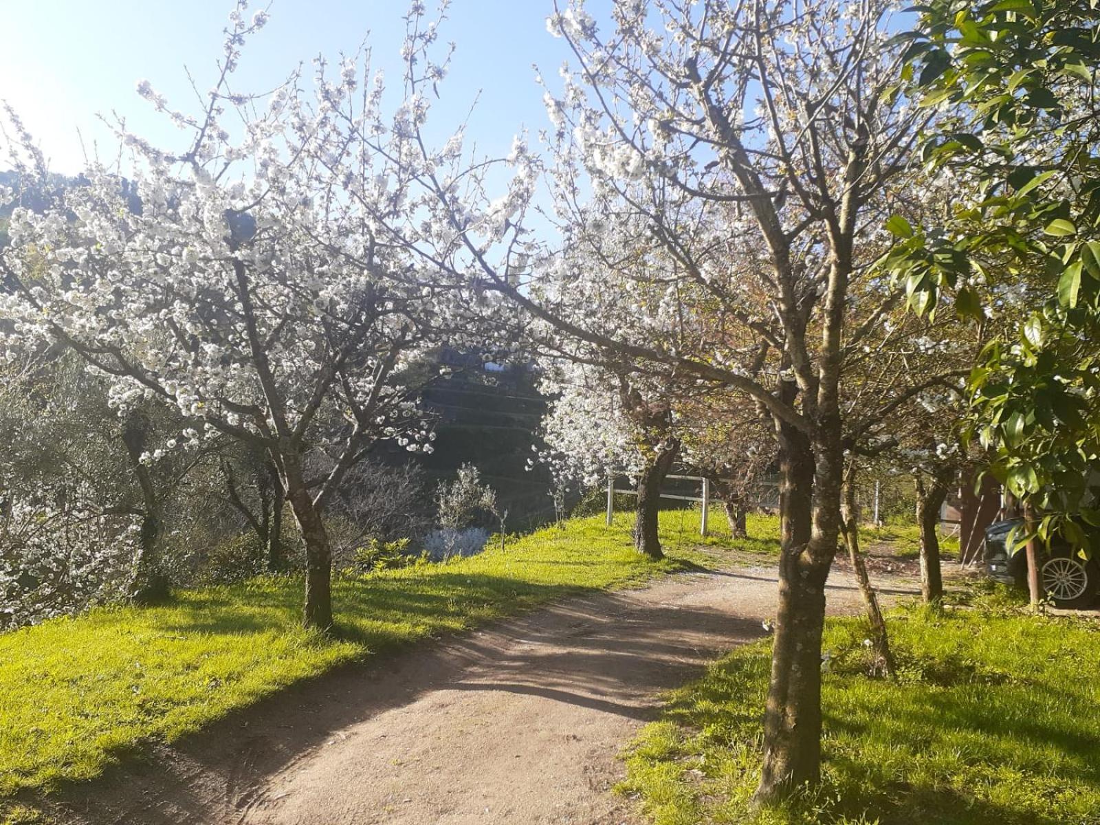 Quinta Dos Carvalhos The Wine House Farm In Center Of - Capital Of The Douro Alloggio per agriturismo